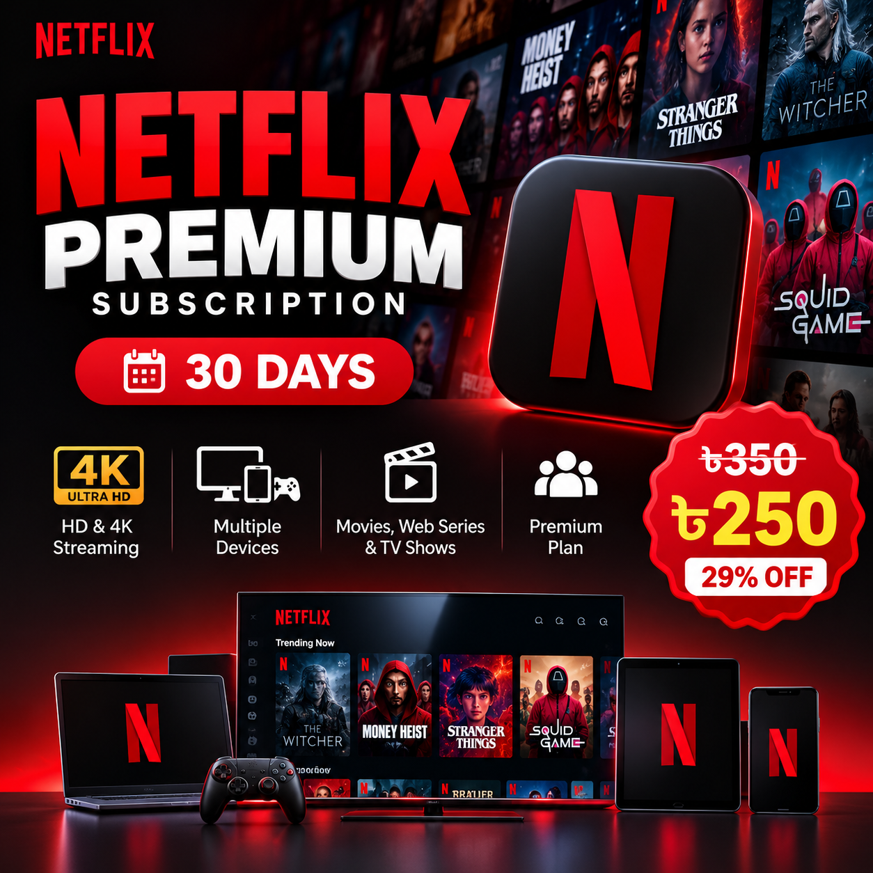 Netflix Subscription